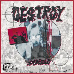 Cover of DESTROY YOURSELF