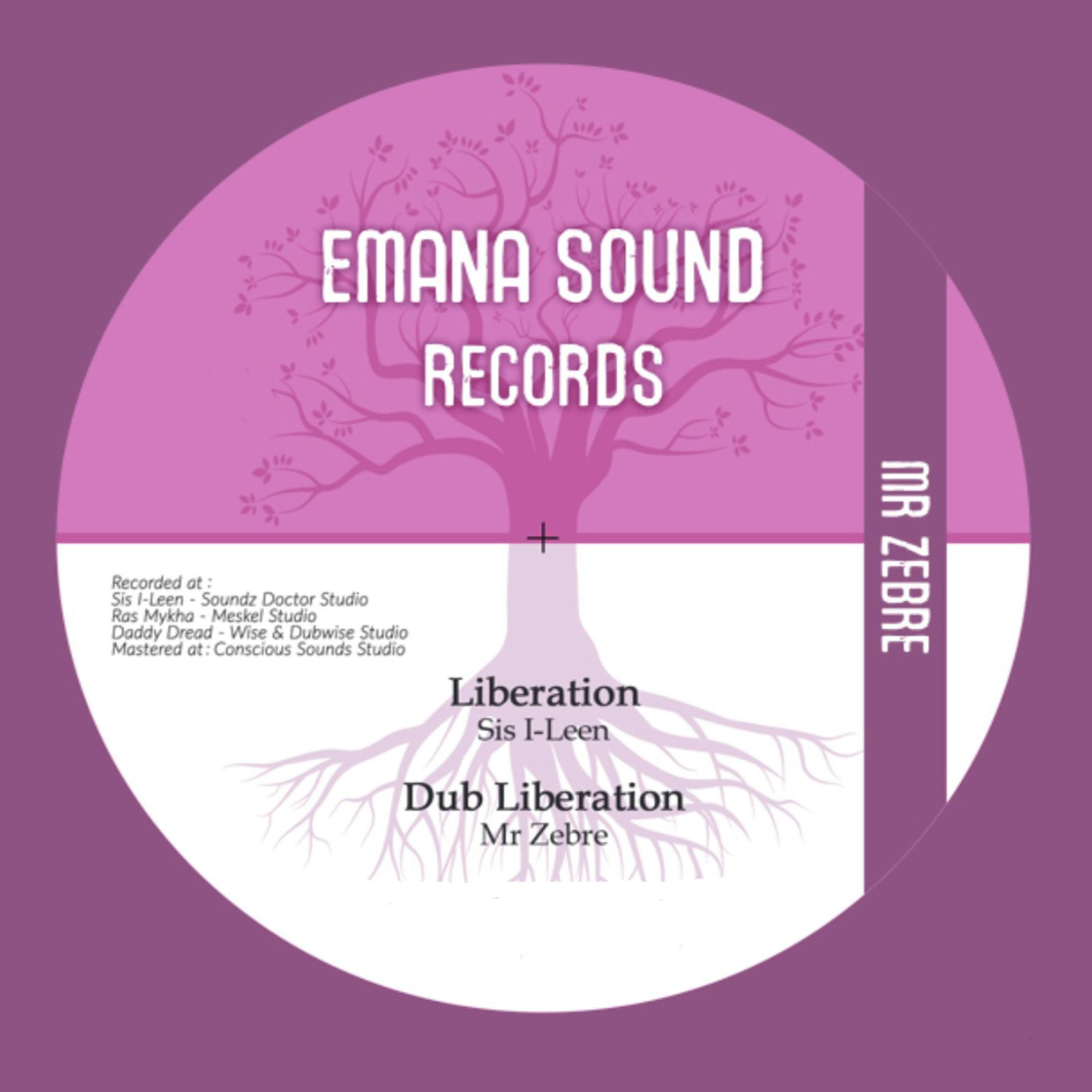 Album cover of Liberation & No One
