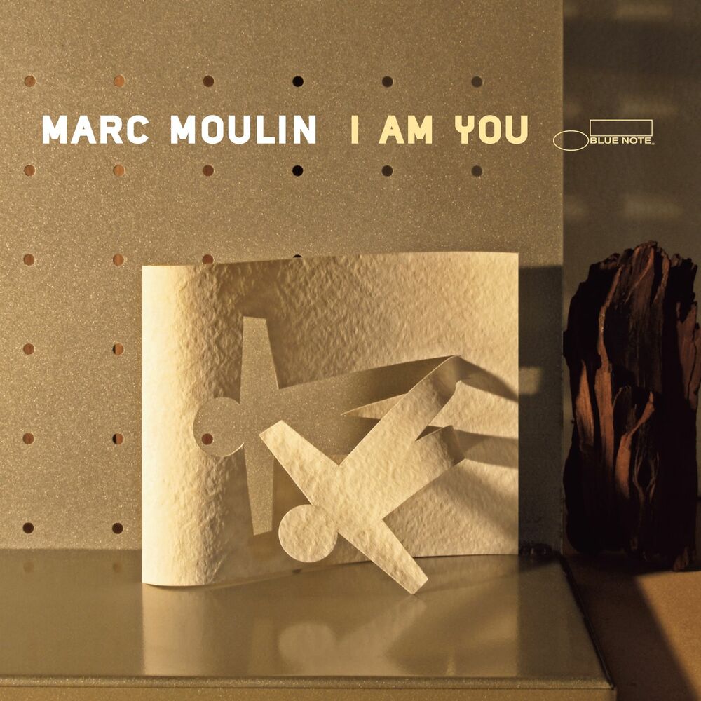 Picture of I am you