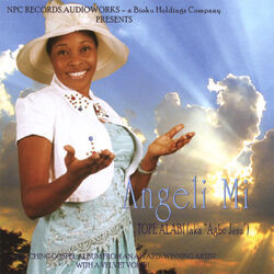 Cover of Angeli Mi