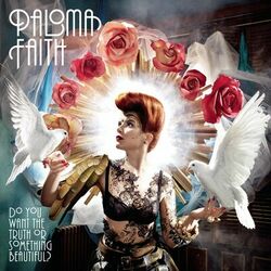 Cover of Do You Want the Truth or Something Beautiful?