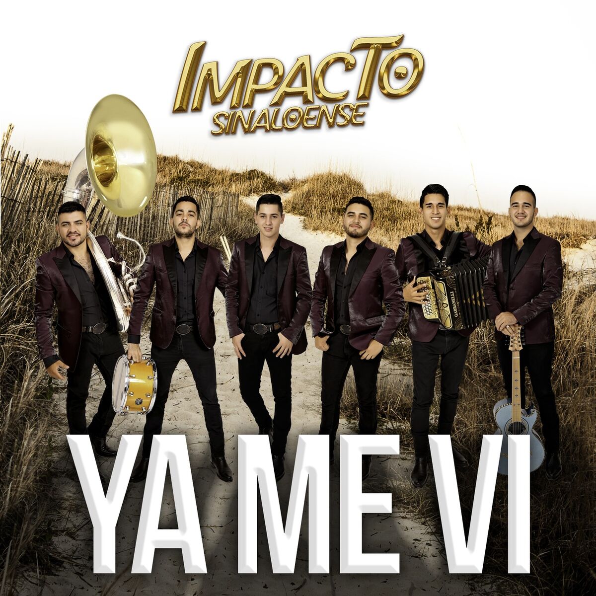 Album cover of Ya Me Vi