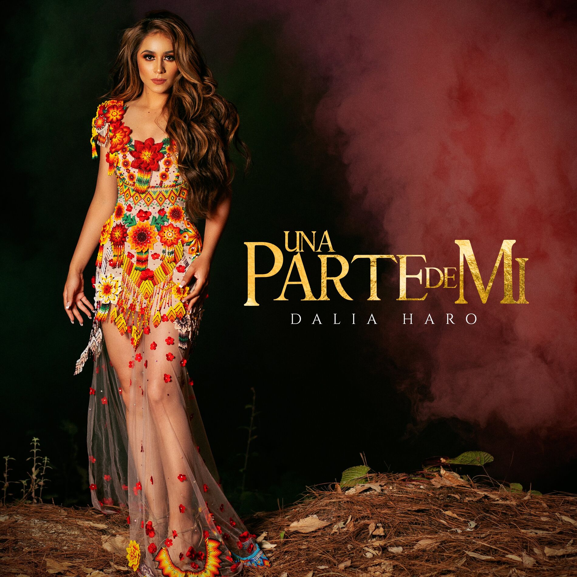 Album cover of Una Parte De Mi