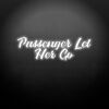 PASSENGER 10 - Let Her Go