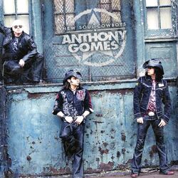 Cover of New Soul Cowboys