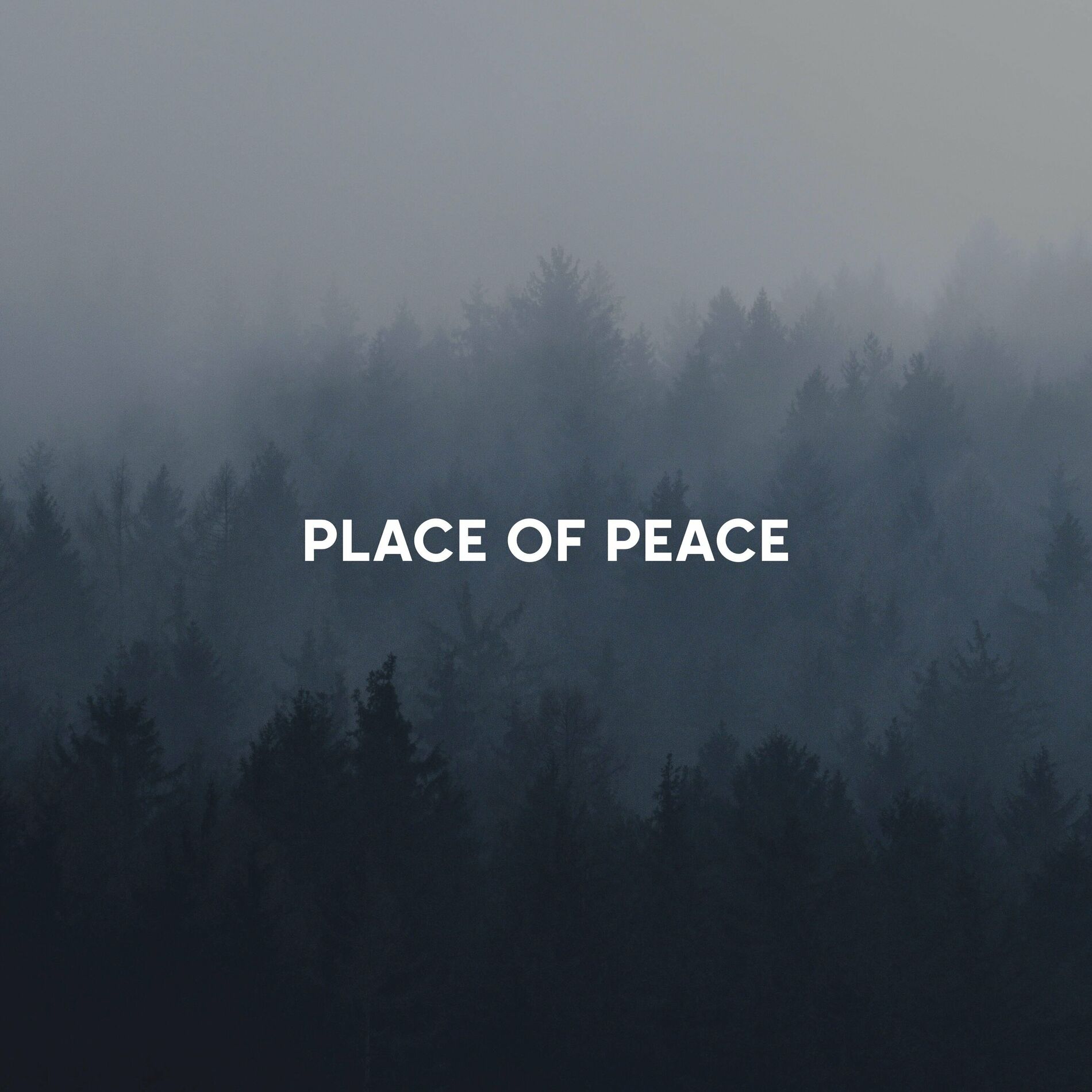 Album cover of Place of Peace