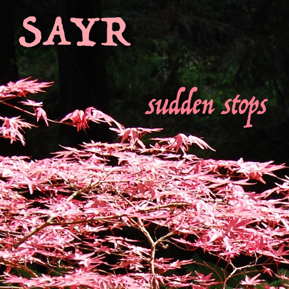 Picture of Sudden Stops