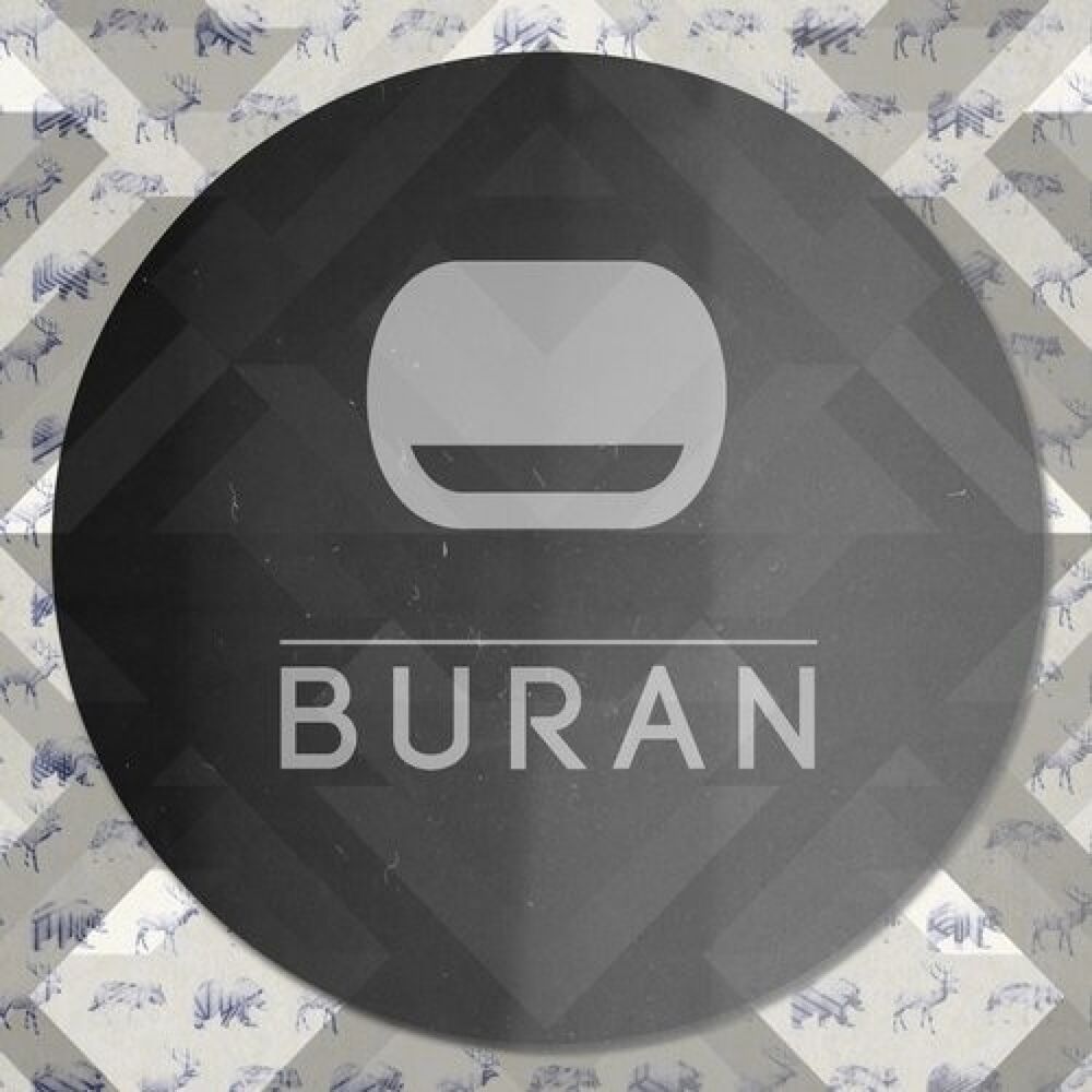 Picture of Buran