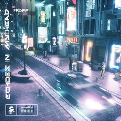 Cover of Echoes In My Head