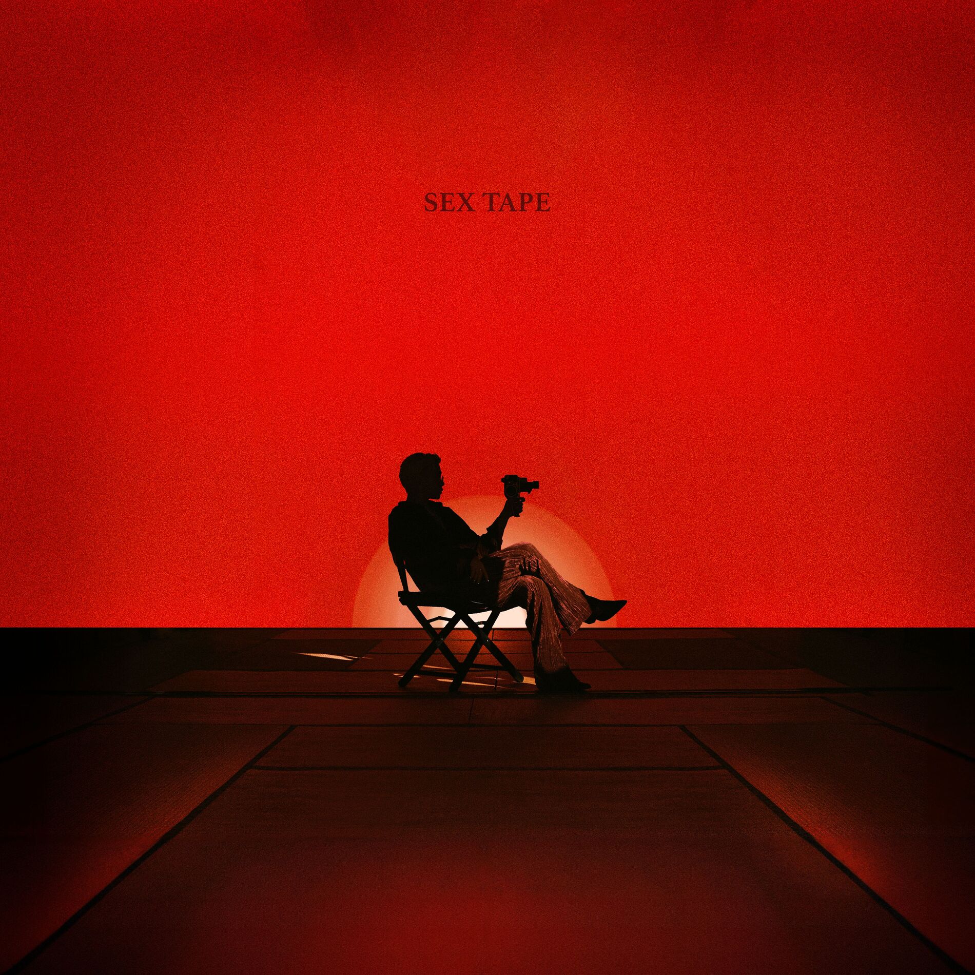 Album cover of SEX TAPE (feat. Sunset Rollercoaster)