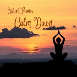 Cover of Calm Down