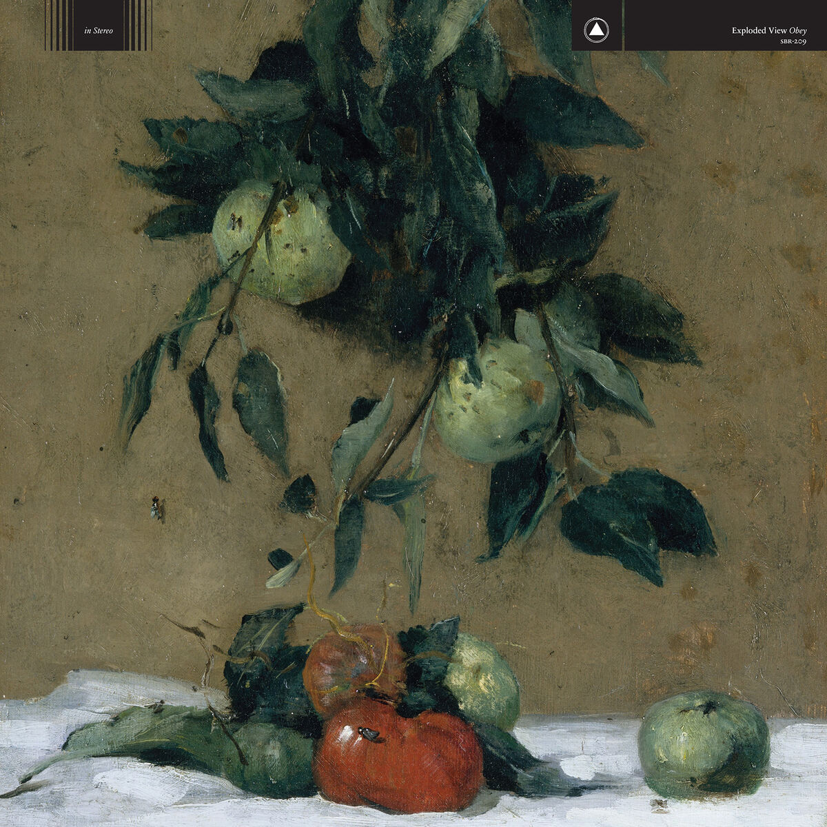 Album cover of Dark Stains