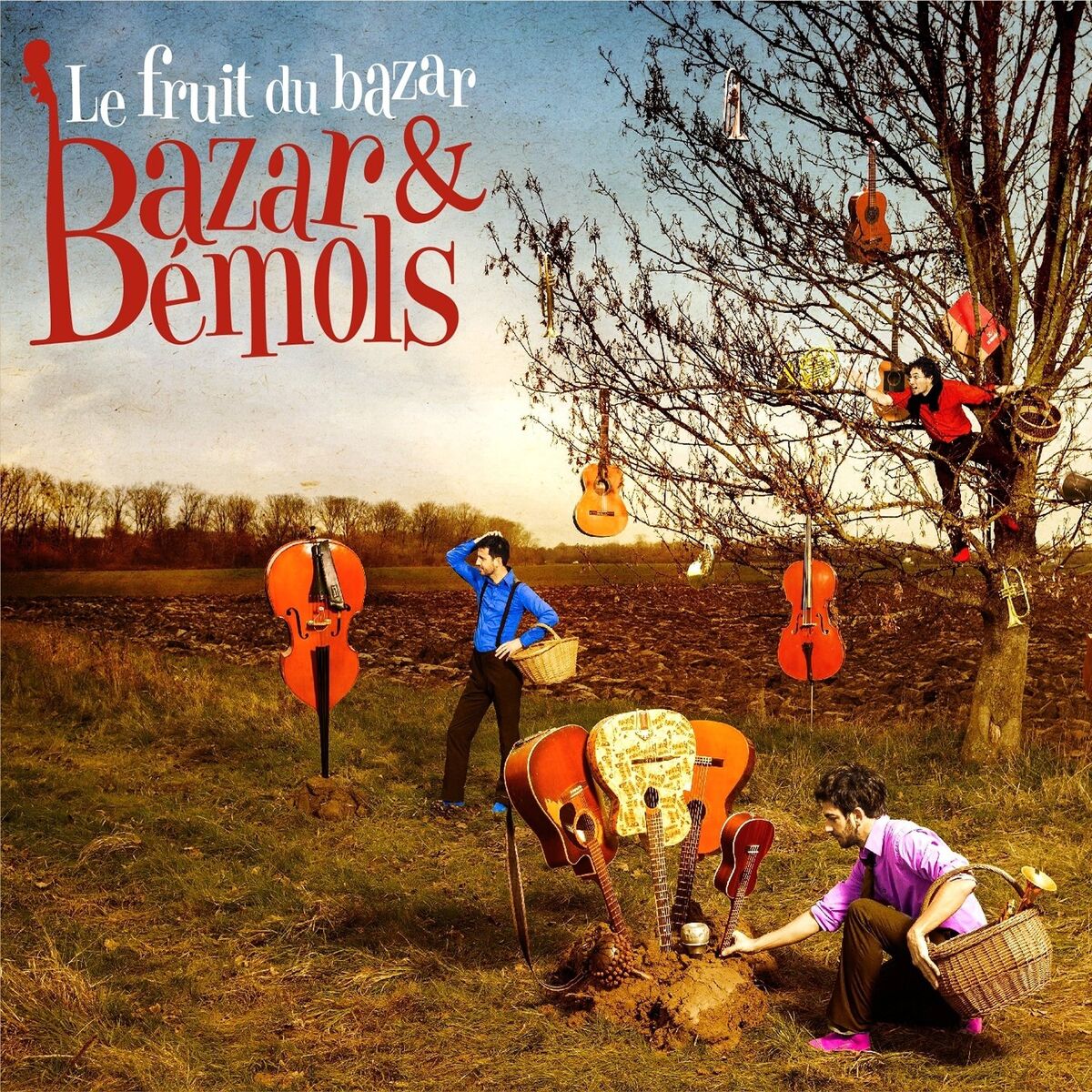Album cover of Le fruit du bazar