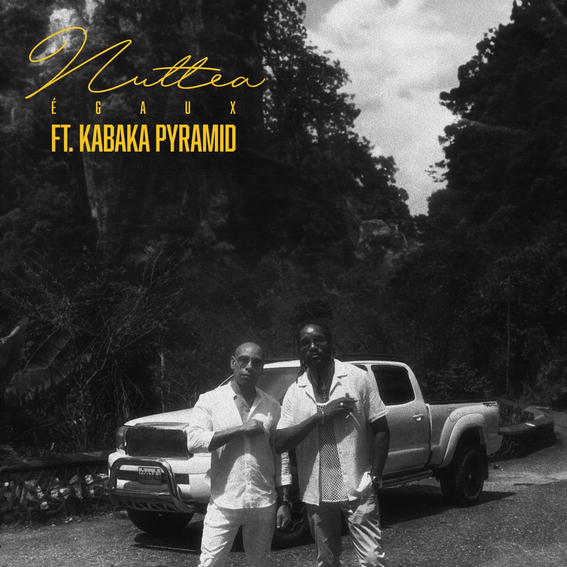 Album cover of Egaux