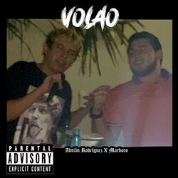 Cover of Volao