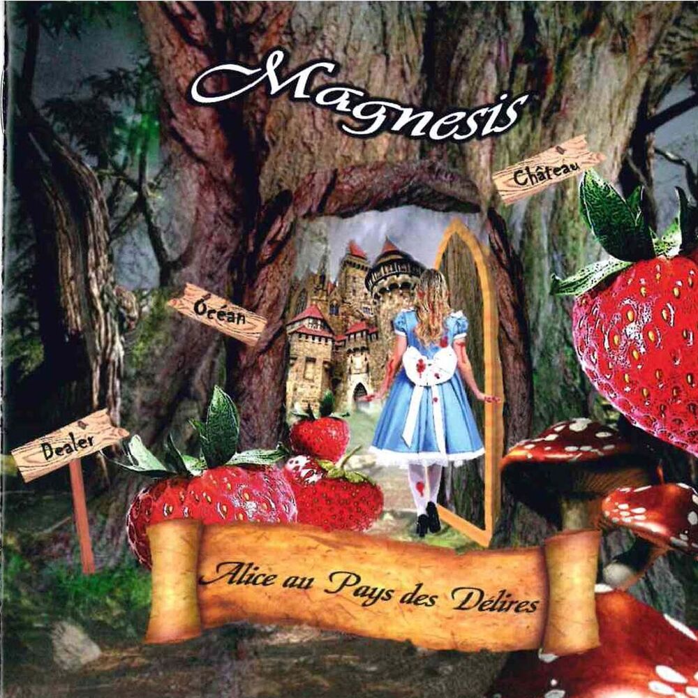 Picture of Alice au pays des délires