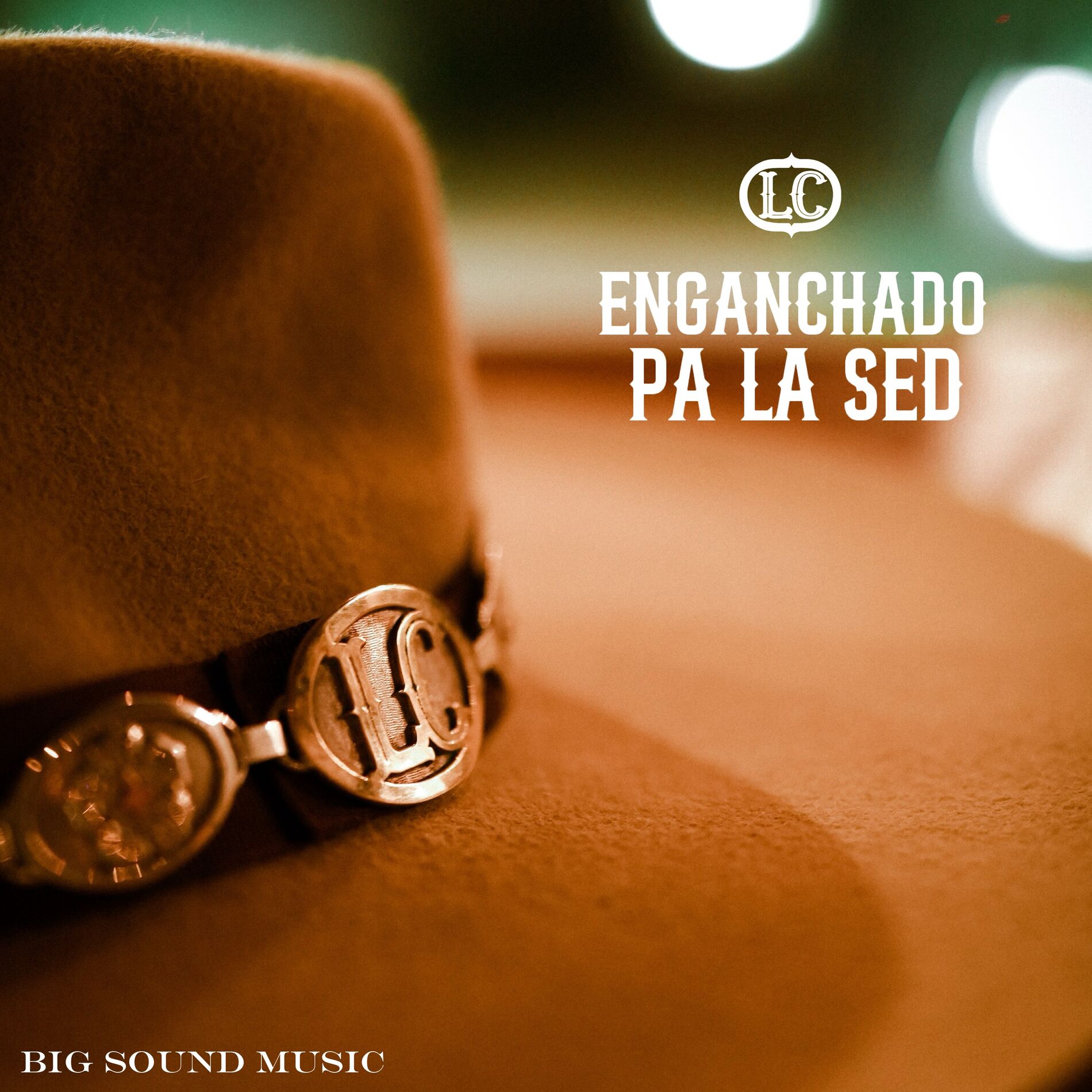 Album cover of Enganchado Pa La Sed