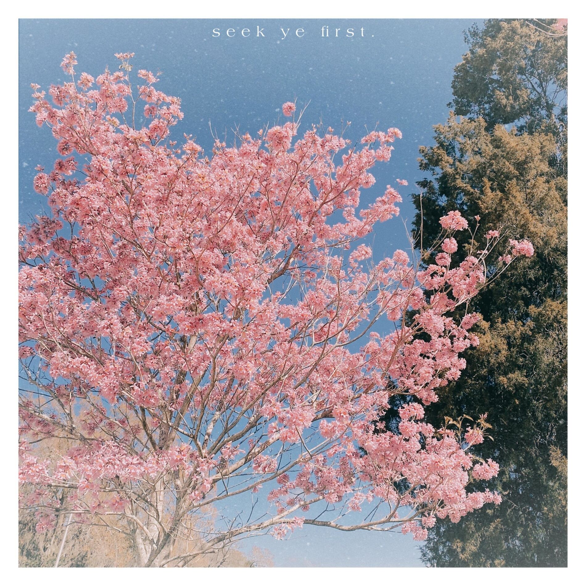 Album cover of seek ye first.