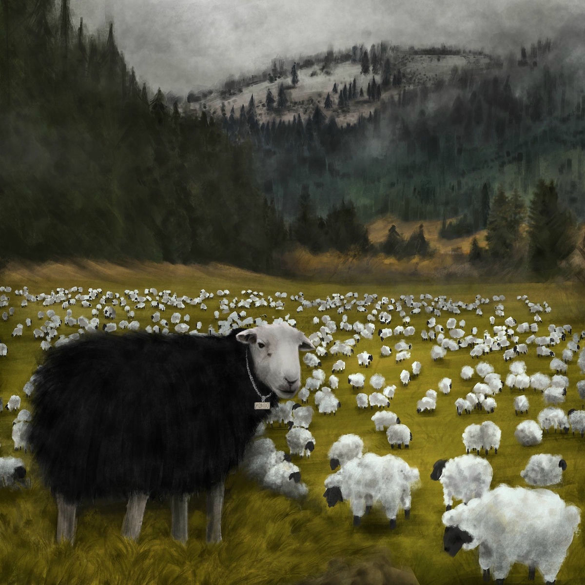 Album cover of Black Sheep