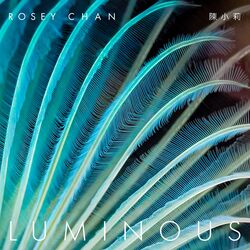 Cover of Luminous