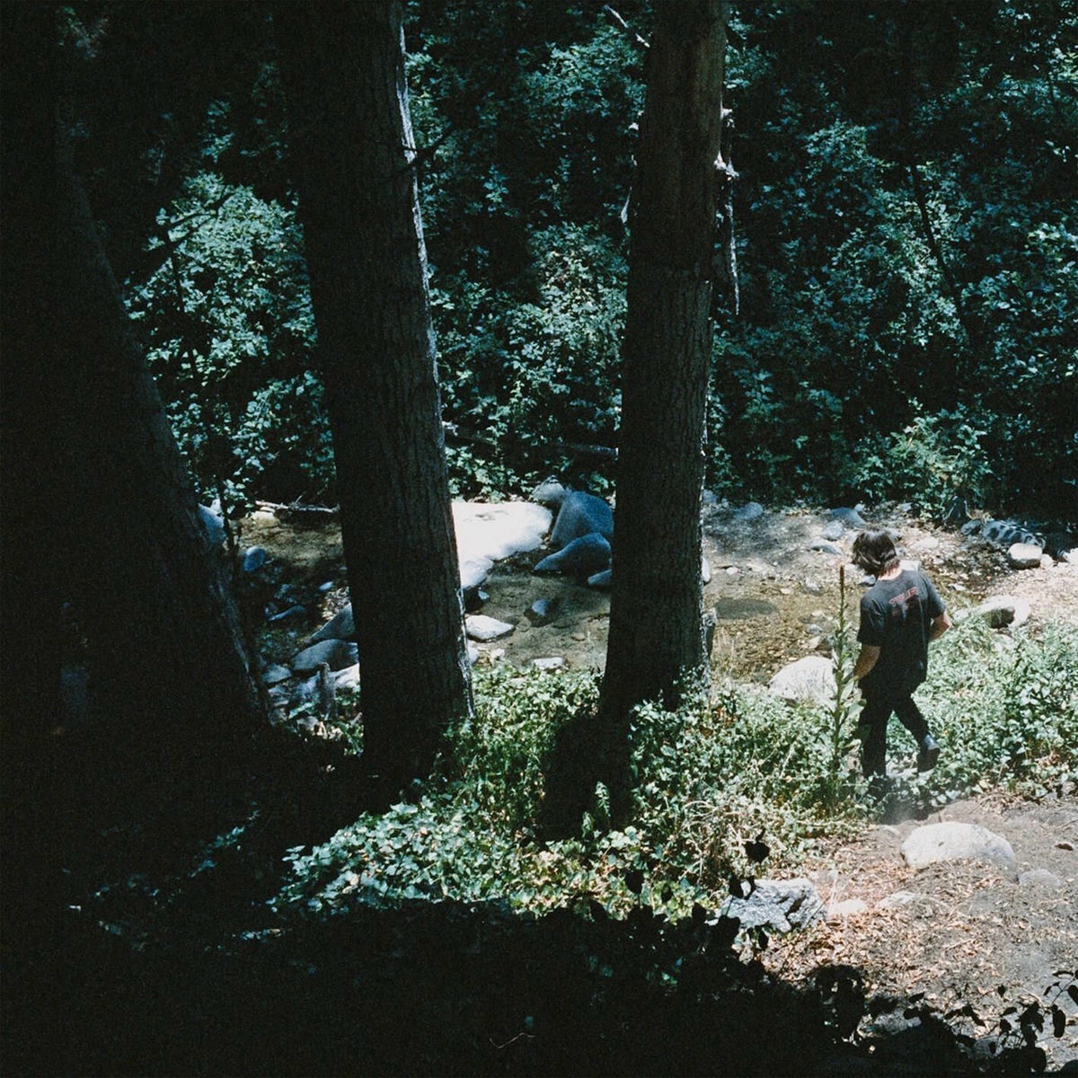 Album cover of Wolves of Worry