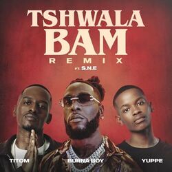 Cover of Tshwala Bam (feat. S.N.E) (Remix)