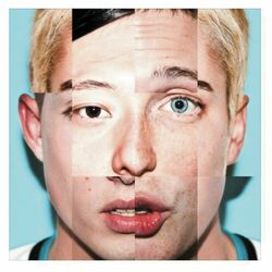 Cover of Fools