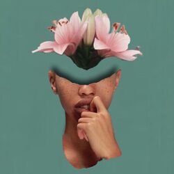 Cover of Drugs You Should Try It