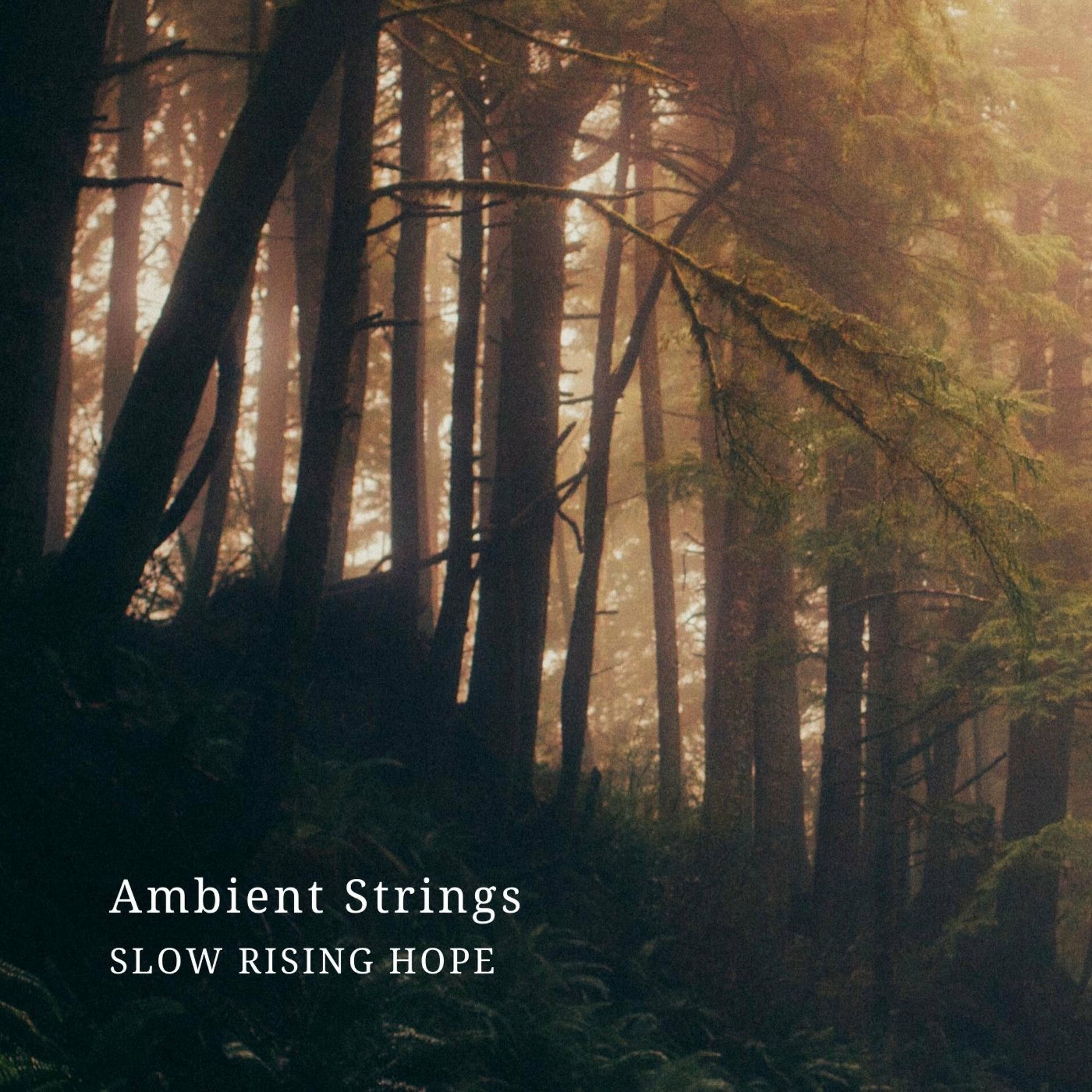 Album cover of Ambient Strings