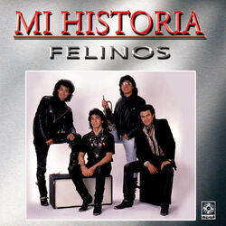 Cover of Mi Historia