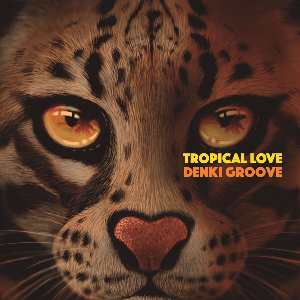 Album cover of Tropical Love