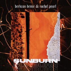Cover of Sunburn