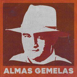 Cover of Almas Gemelas