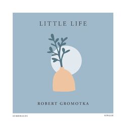 music cover