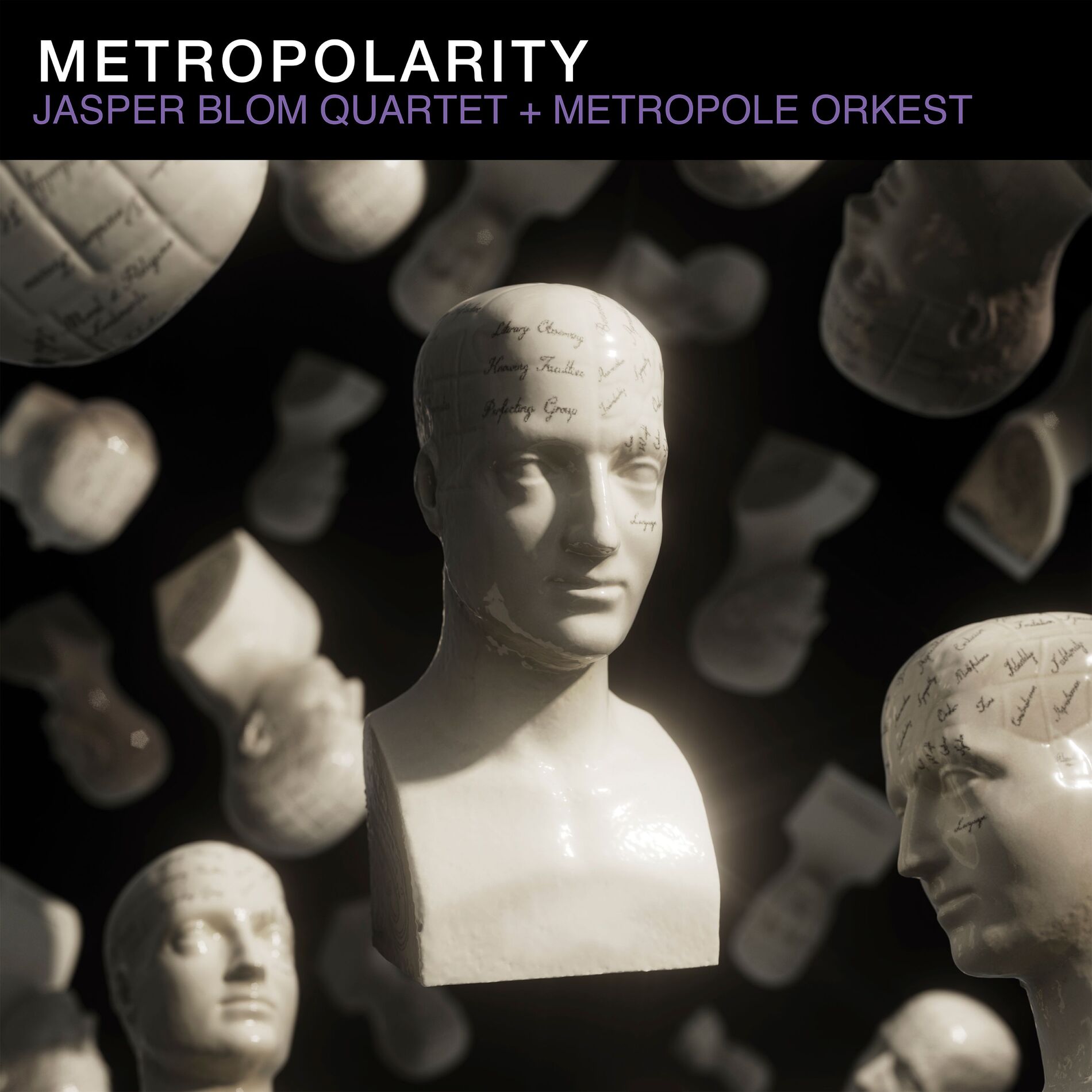 Album cover of Metropolarity