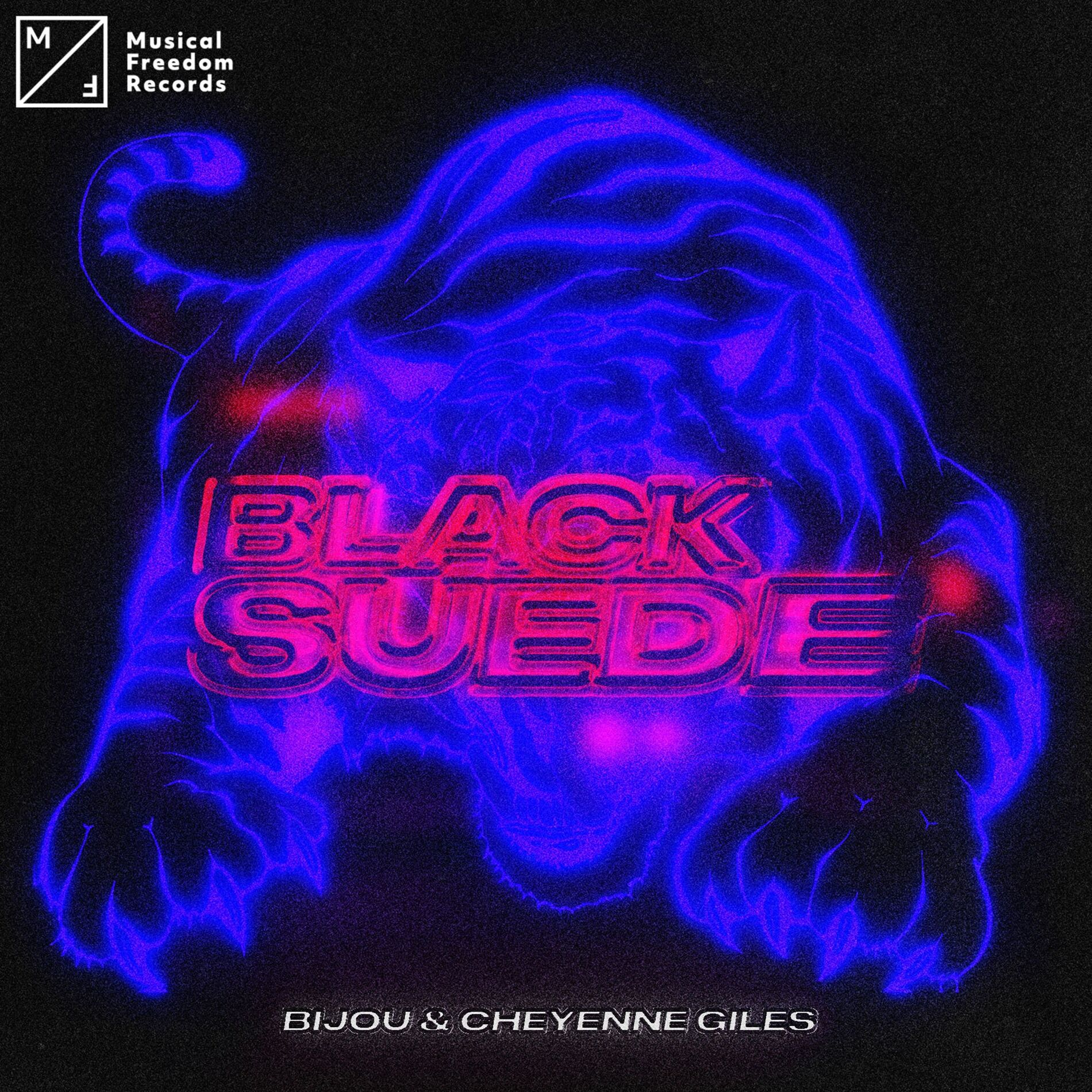 Album cover of Black Suede