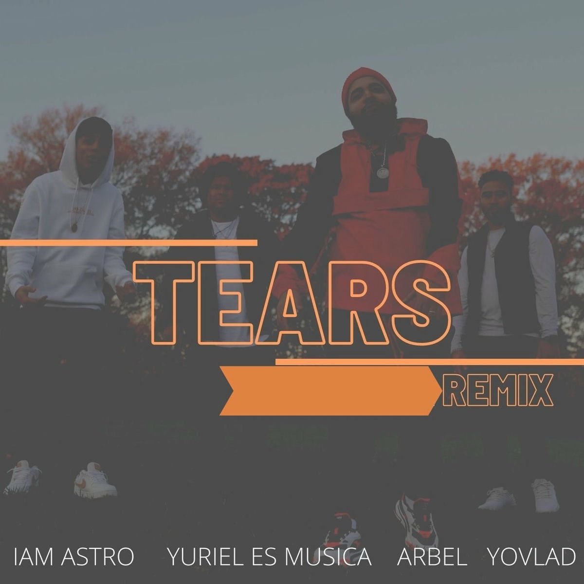 Album cover of Tears (Remix)