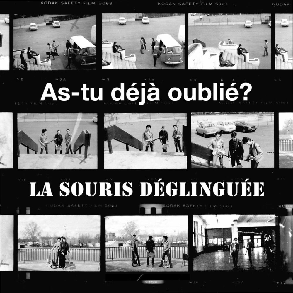 Picture of As-tu déjà oublié?