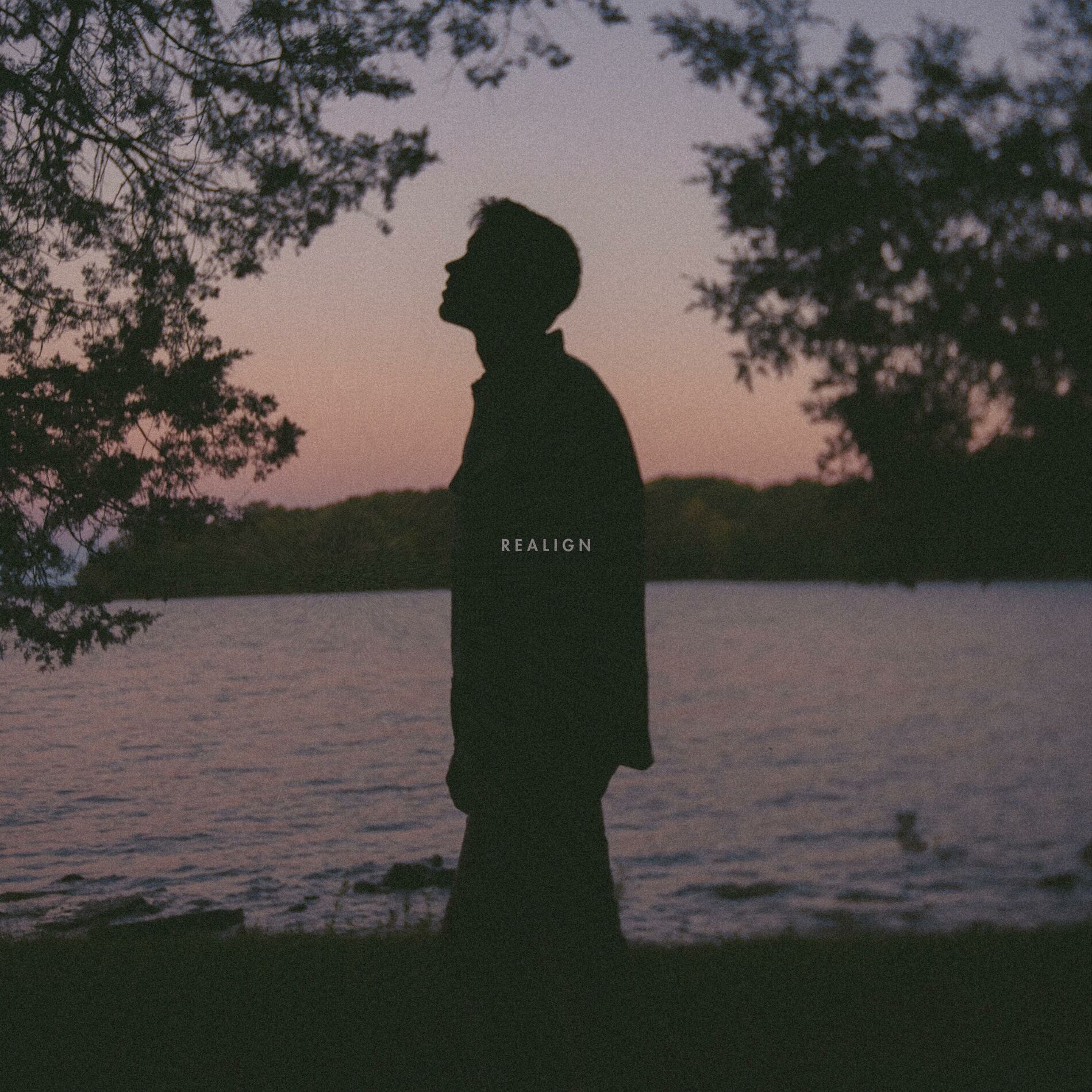 Album cover of r e a l i g n