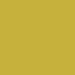 Cover of BLEI