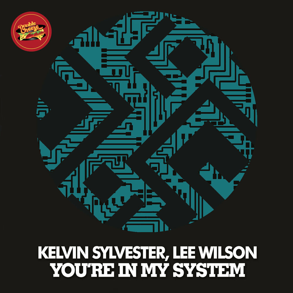 Picture of You're In My System
