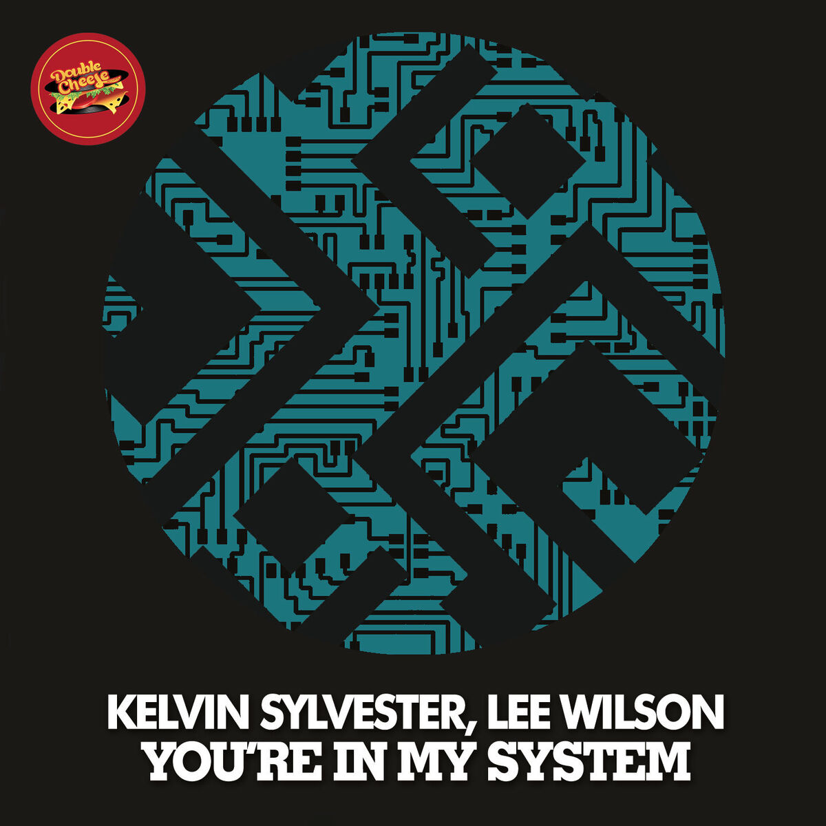 Album cover of You're In My System