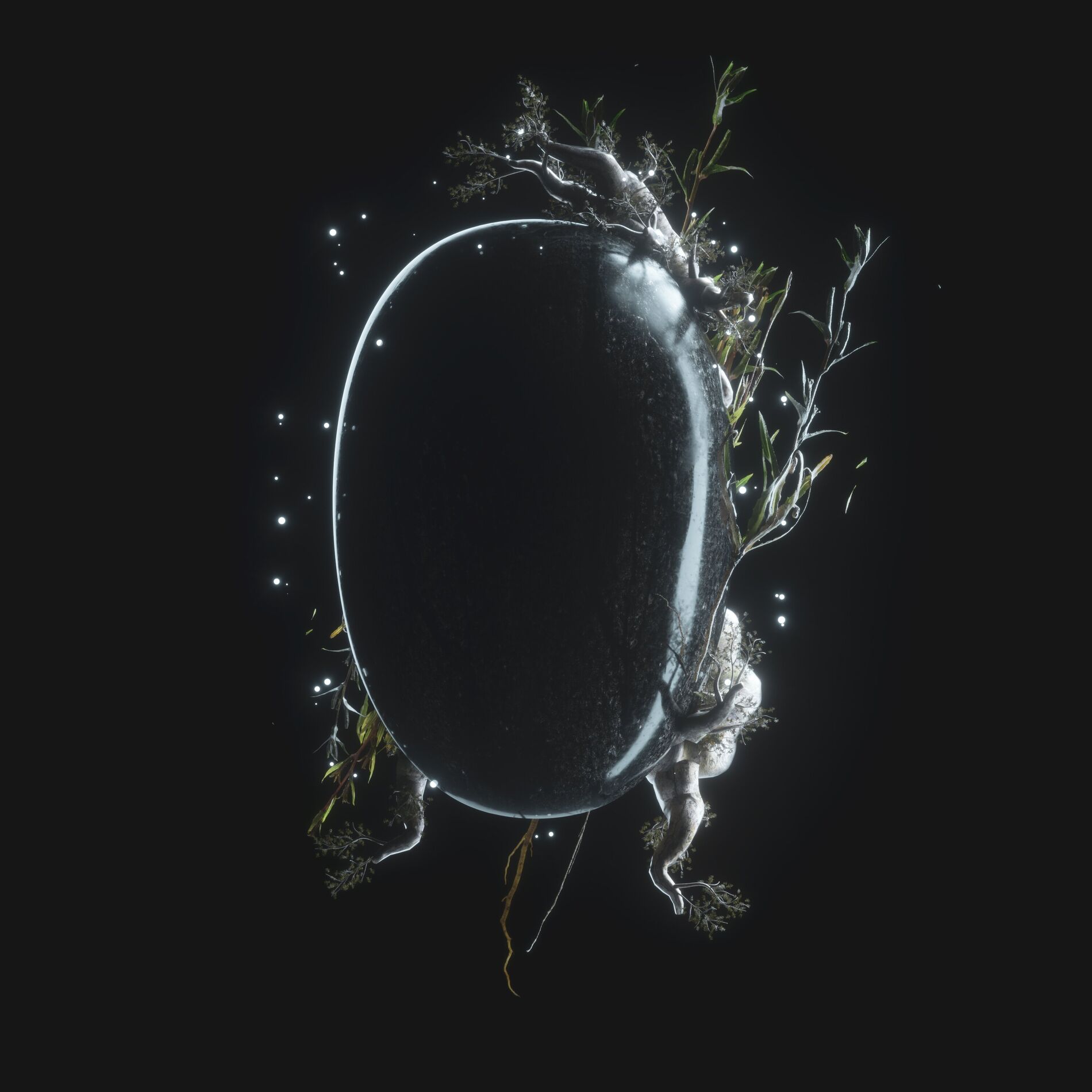Album cover of SONG SIX