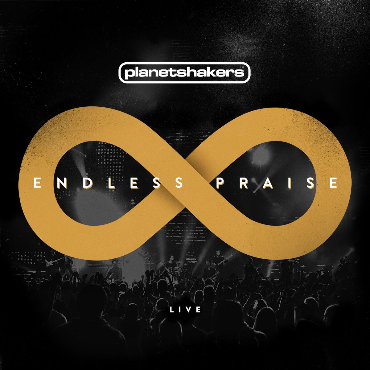 Album cover of Endless Praise