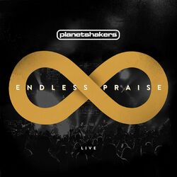 Cover of Endless Praise (Live)