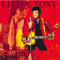 Cover of Tribute to Elvis