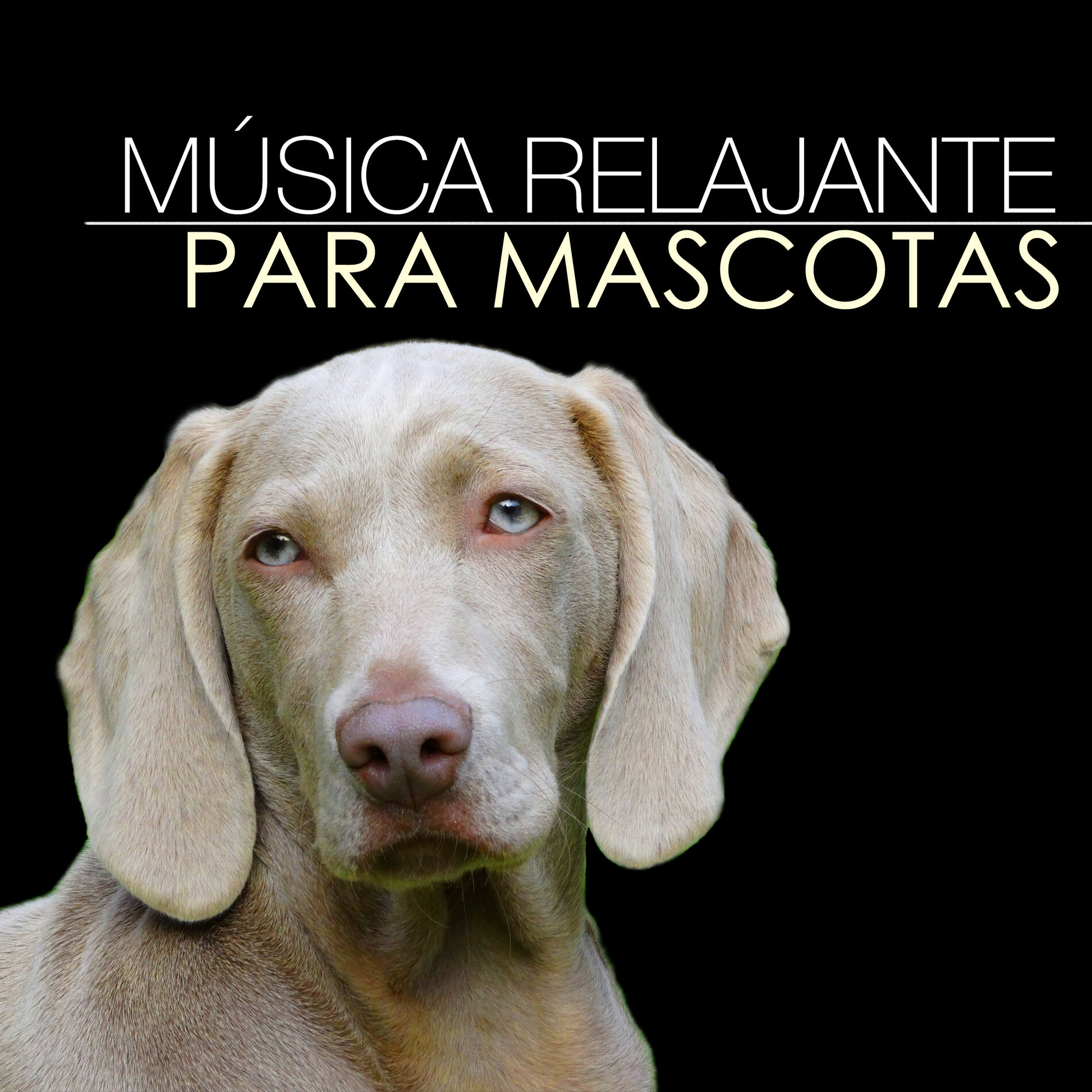 Album cover of Tiempo del Juego