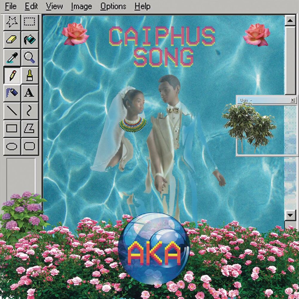 Picture of Caiphus Song
