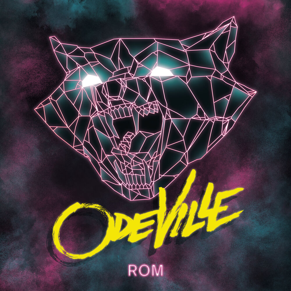 Picture of ROM