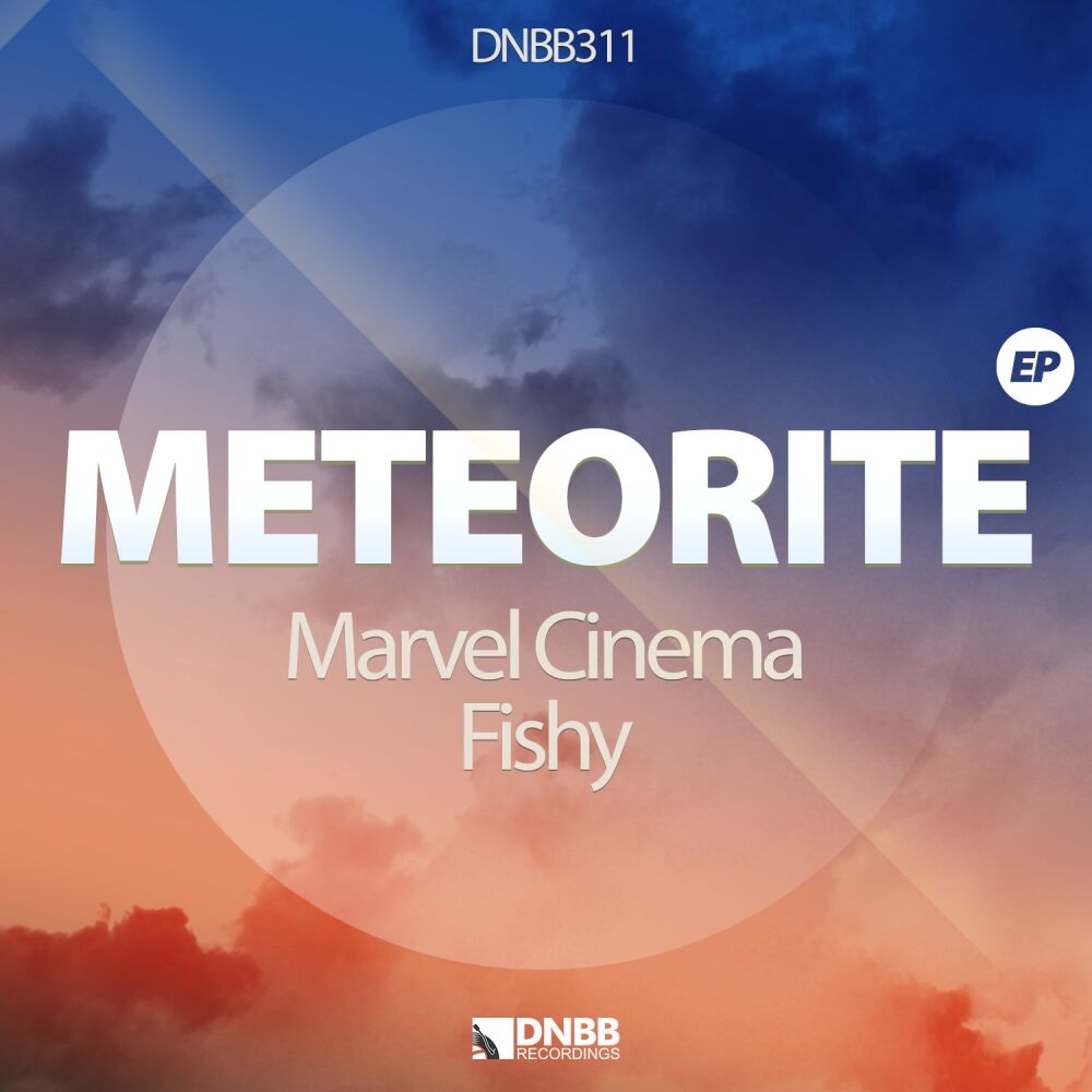 Picture of Meteorite Ep